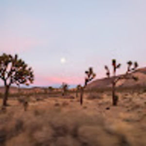 Meet your Posher, Devin